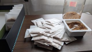 ★2025年5月28日-香り作成、ウオーキング再開