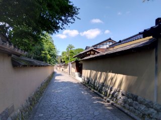 ★2025年7月30日-(7/28-8/3間) ,ぽち香作成、動画編集