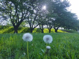 ★2025年5月3日-店主焚屋の作業奮闘記（4/28-5/4間）