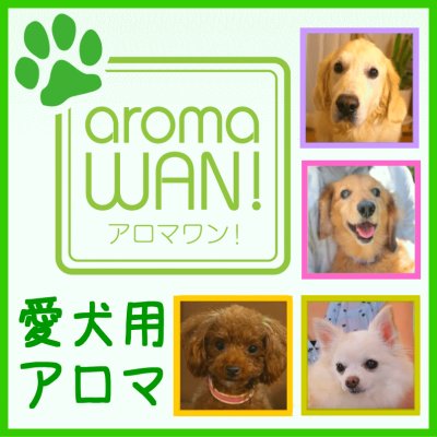 ＜再登録＞わんちゃん用アロマ ペットアロマのアロマワン 