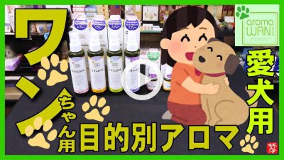 ★YOUTUBE新規登録★【ペットアロマ】わんちゃん用アロマワンで愛犬とマッサージ･トリートメント･ブラッシングでスキンシップ
