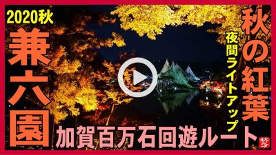 ★Youtube登録★【兼六園ライトアップ秋の段】雪吊り･紅葉の兼六園,と金沢城･鼠多門･玉泉丸院庭園の加賀百万石回遊ルートの散策ガイドライブvlog