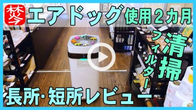 ★Youtube登録★エアドッグの2か月後レビュー