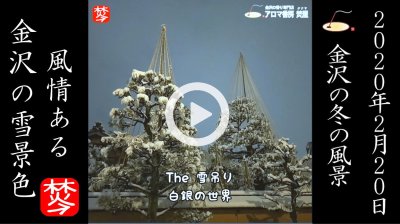 ★Youtube登録★2022年度冬･金沢の雪景色･風情ある雪吊りや雪の風景