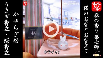 ★Youtube登録★【春のお香･桜特集7】SAKURAのお香かゆらぎ桜･日本香堂