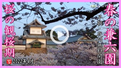 ★YOUTUBE登録★(見る花見)2022年度春･兼六園の無料開放＆ライトアップ