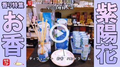 ★Youtube登録★【紫陽花の香り特集2】梅雨の花アジサイの香り