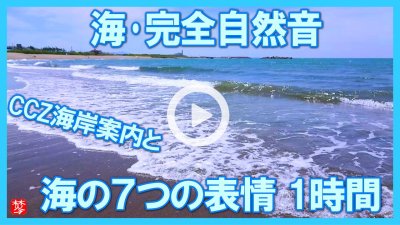 ★Youtube登録★【完全自然音｜7種類の海の音･波の音】