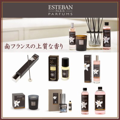 ESTEBAN-クラシックシリーズ登録