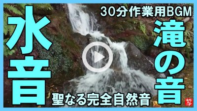 ★Youtube登録★白山比咩神社･表参道・琵琶滝の水の音