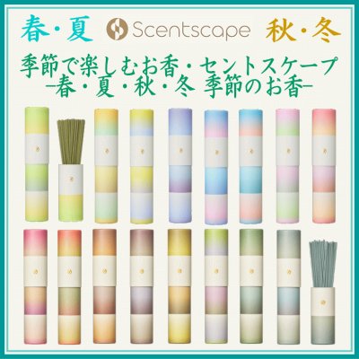 ＜追加登録＞春夏商品入荷　追加登録