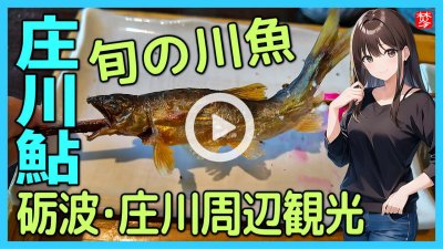 ★Youtube登録★ 【鮎料理】と庄川観光