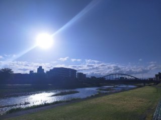 ★お香専門店(金沢市の観光地)の焚屋作業奮闘記-2024年05月05日　こどもの日、端午の節句・柏餅・ちまき