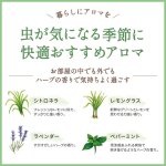 画像8: 100%精油 デイリーディライト (8)