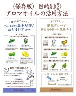 画像4: デイリーディライト・アロマストーンディフューザー (4)