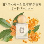 画像10: 金木犀の香水（オードパルファム） (10)