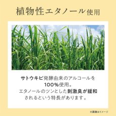 画像6: 金木犀の香水（オードパルファム） (6)