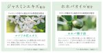 画像10: ゆるりと茉莉花・ジャスミンシリーズ (10)