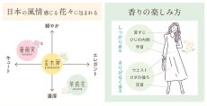 画像2: ゆるりと茉莉花・ジャスミンシリーズ (2)