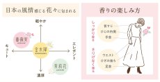 画像4: ゆるりと薔薇実・ローズヒップシリーズ (4)