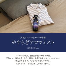 画像2: Beauwell アロマミスト (2)
