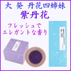 画像1: 紫丹花　大発 (1)