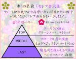 画像2: 「ぽち香」★セレブ金沢II★ (2)