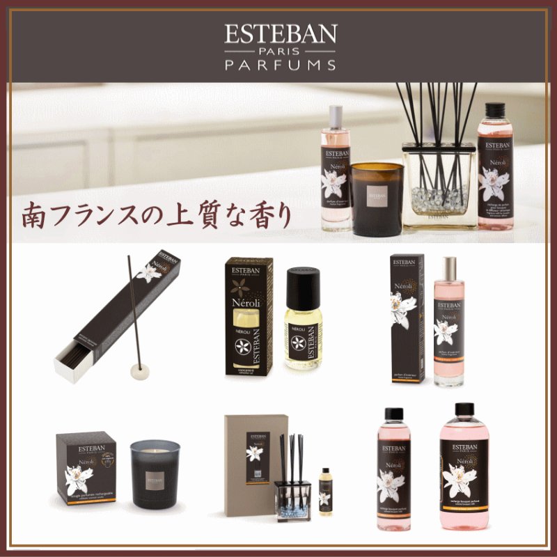 画像1: ESTEBANクラシック (1)