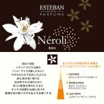 画像3: ESTEBANクラシック (3)