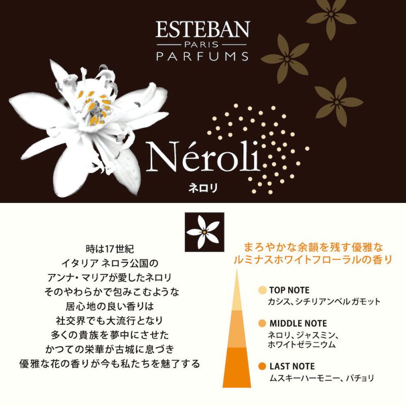 画像3: ESTEBANクラシック (3)