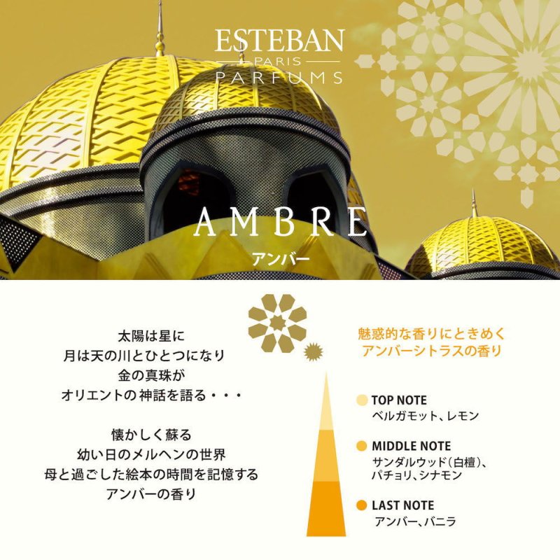 画像4: ESTEBANクラシック (4)