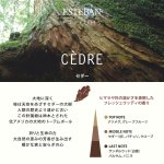 画像5: ESTEBANクラシック (5)