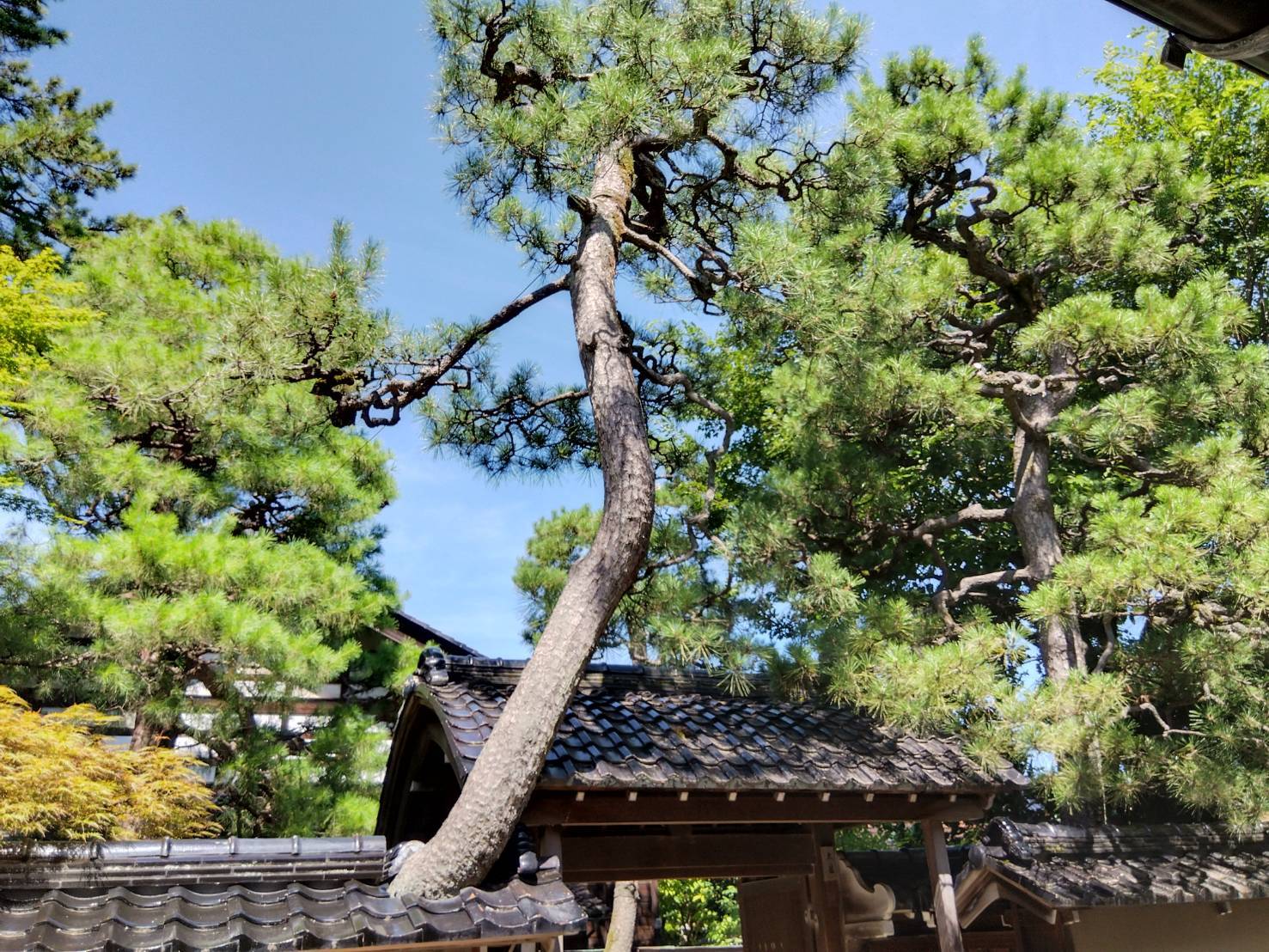 お香・専門店 金沢市|金沢の観光地-武家屋敷跡近くのアロマ香房焚屋