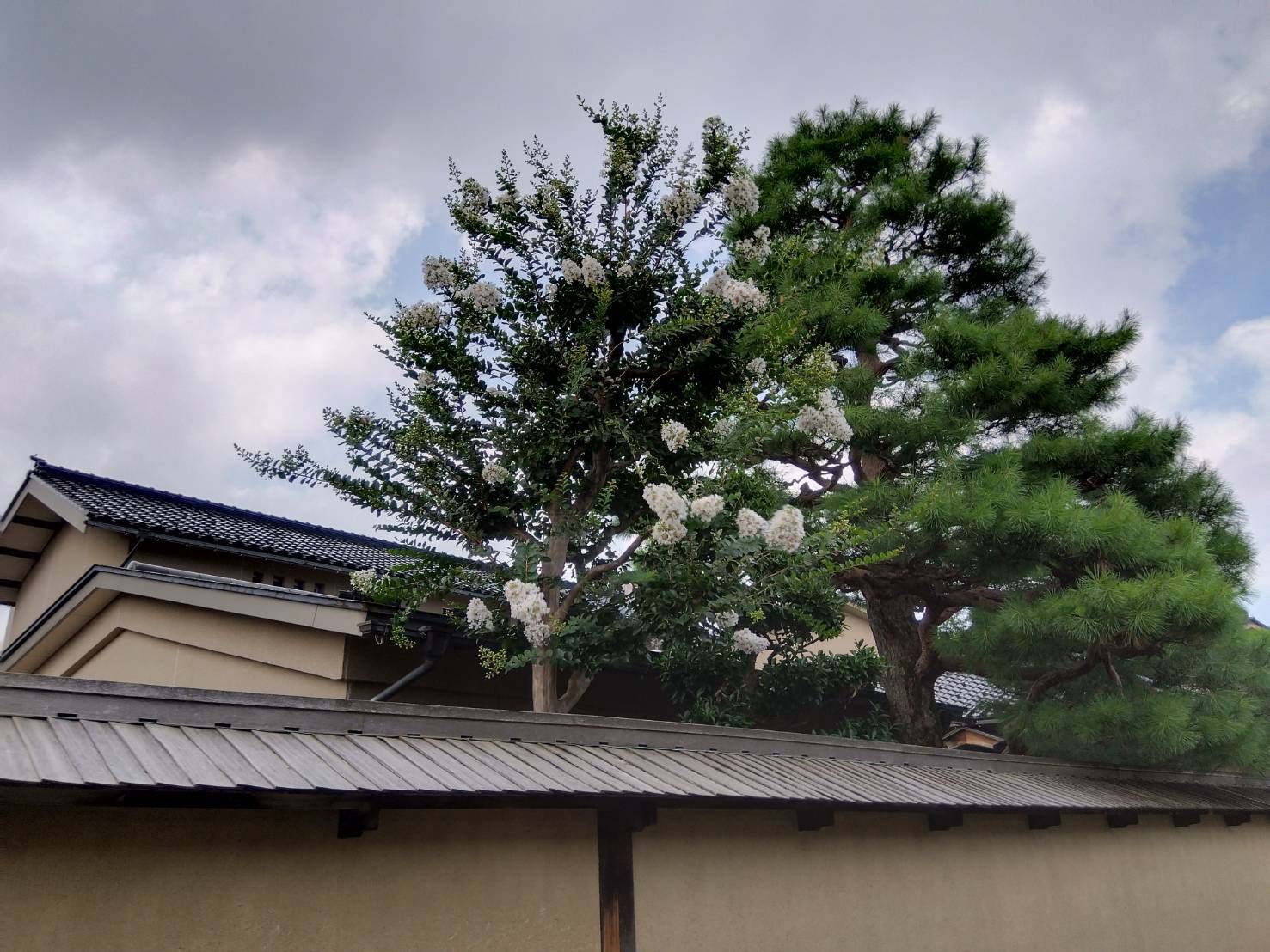 お香・専門店 金沢市|金沢の観光地-武家屋敷跡近くのアロマ香房焚屋
