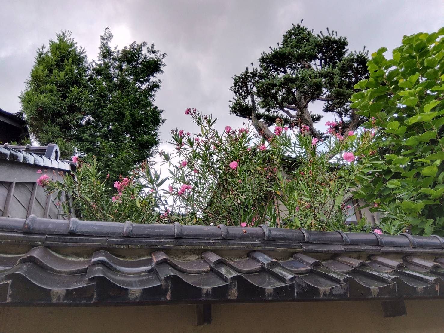 お香・専門店 金沢市|金沢の観光地-武家屋敷跡近くのアロマ香房焚屋