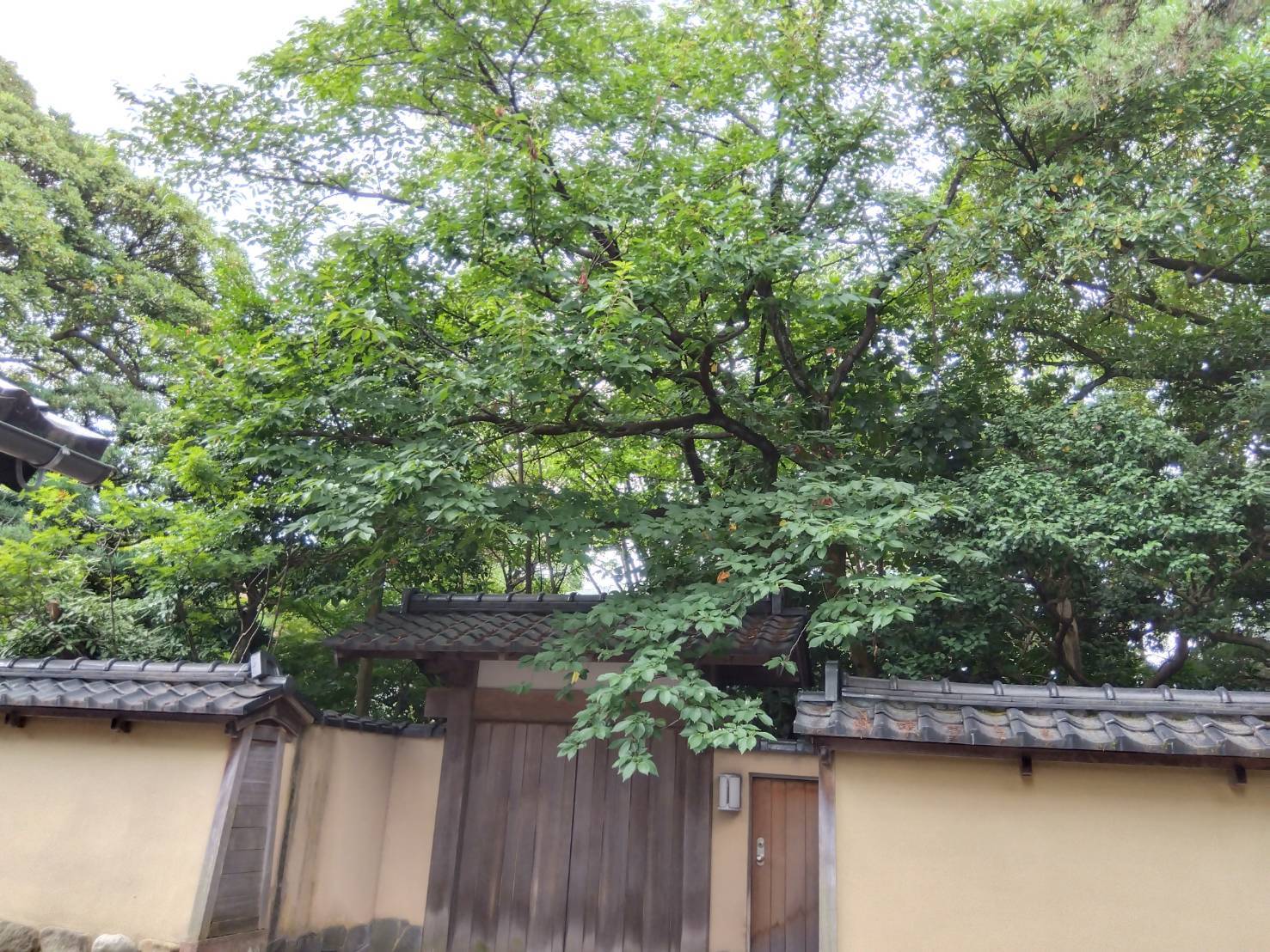 お香・専門店 金沢市|金沢の観光地-武家屋敷跡近くのアロマ香房焚屋