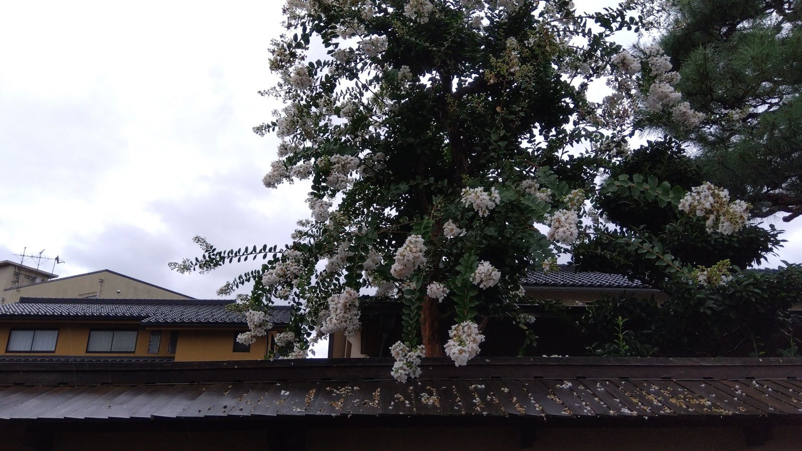 金沢のお香とアロマの香り専門店(石川県金沢市)・金沢観光地・金沢の観光スポット武家屋敷跡近く・人気でおすすめのお土産処-お香専門店のアロマ香房焚屋