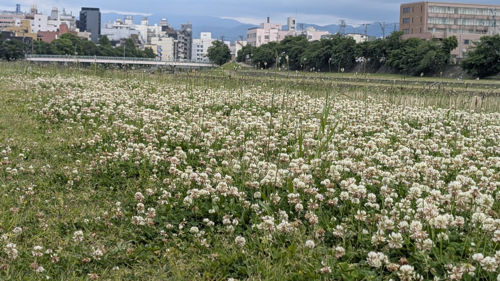金沢のお香とアロマの香り専門店(石川県金沢市)・金沢観光地・金沢の観光スポット武家屋敷跡近く・人気でおすすめのお土産処-お香専門店のアロマ香房焚屋