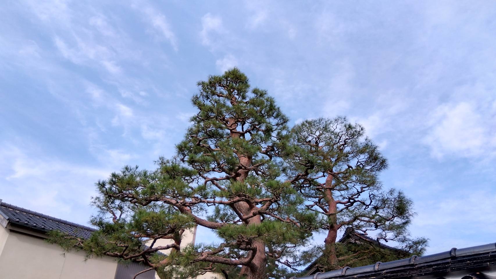 金沢のお香とアロマの香り専門店(石川県金沢市)・金沢観光地・金沢の観光スポット武家屋敷跡近く・人気でおすすめのお土産処-お香専門店のアロマ香房焚屋