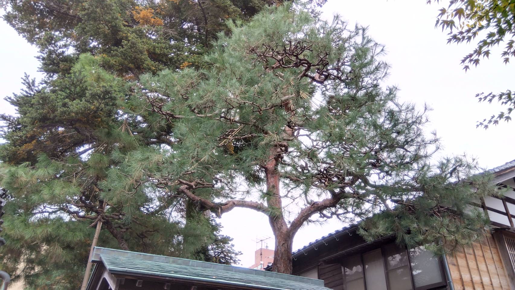 金沢のお香とアロマの香り専門店(石川県金沢市)・金沢観光地・金沢の観光スポット武家屋敷跡近く・人気でおすすめのお土産処-お香専門店のアロマ香房焚屋