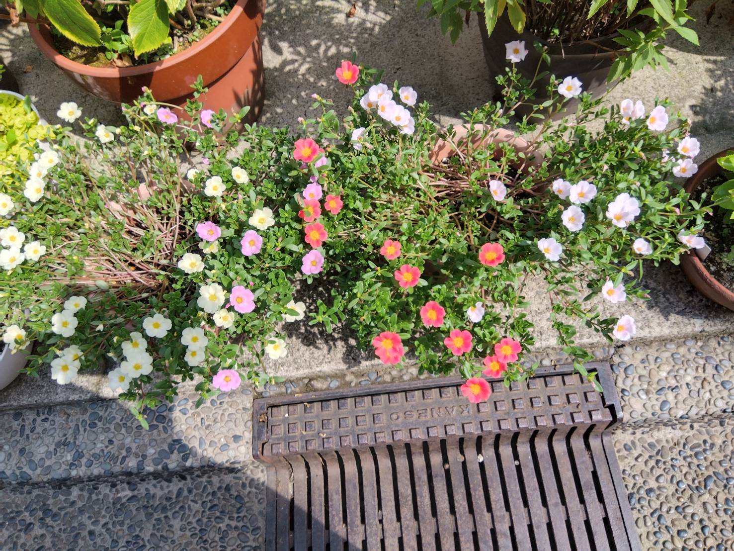 お香・専門店 金沢市|金沢の観光地-武家屋敷跡近くのアロマ香房焚屋