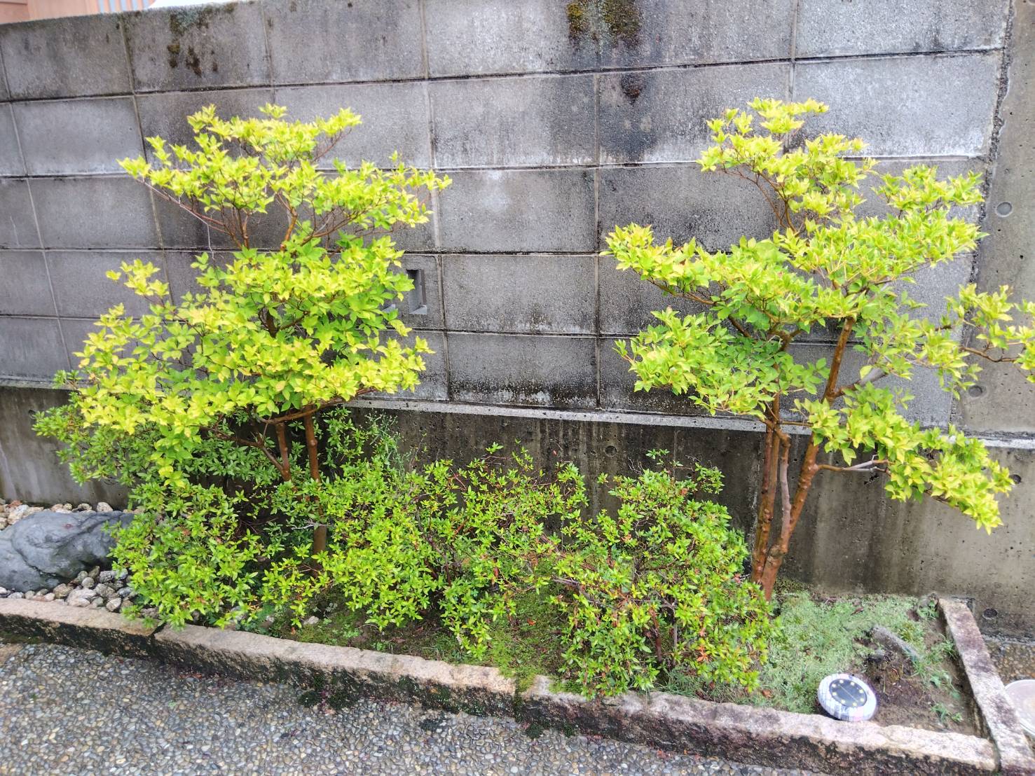 お香・専門店 金沢市|金沢の観光地-武家屋敷跡近くのアロマ香房焚屋