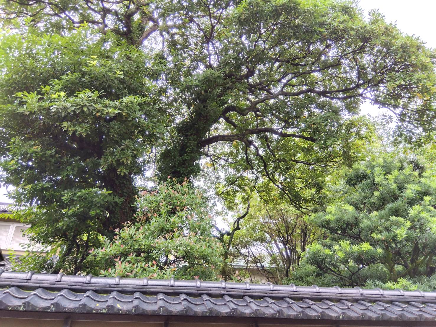 お香・専門店 金沢市|金沢の観光地-武家屋敷跡近くのアロマ香房焚屋