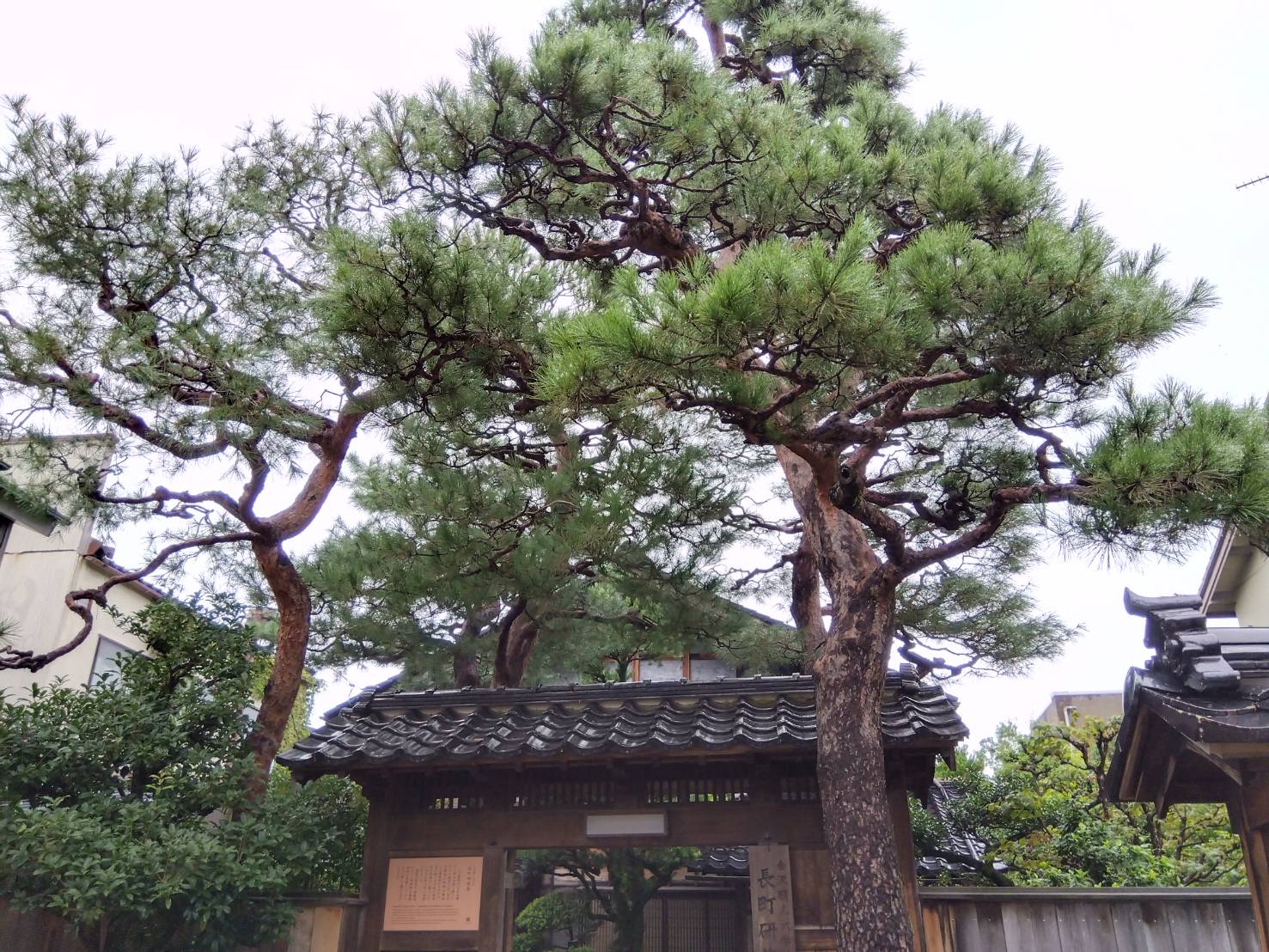 お香・専門店 金沢市|金沢の観光地-武家屋敷跡近くのアロマ香房焚屋