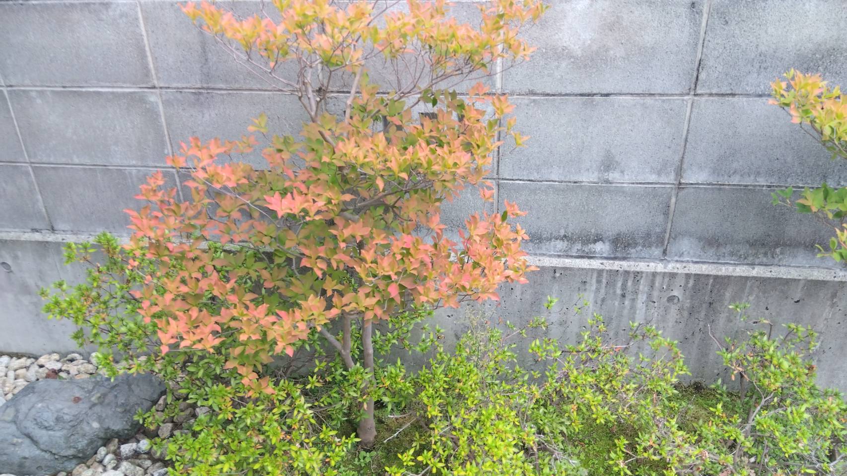 金沢のお香とアロマの香り専門店(石川県金沢市)・金沢観光地・金沢の観光スポット武家屋敷跡近く・人気でおすすめのお土産処-お香専門店のアロマ香房焚屋
