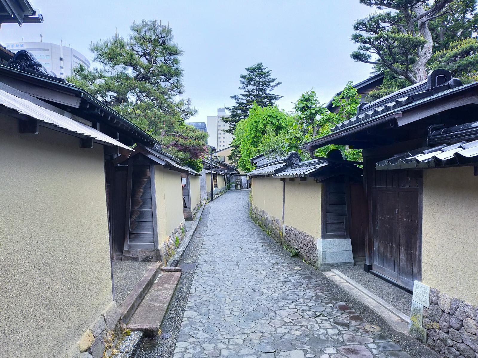 300×226