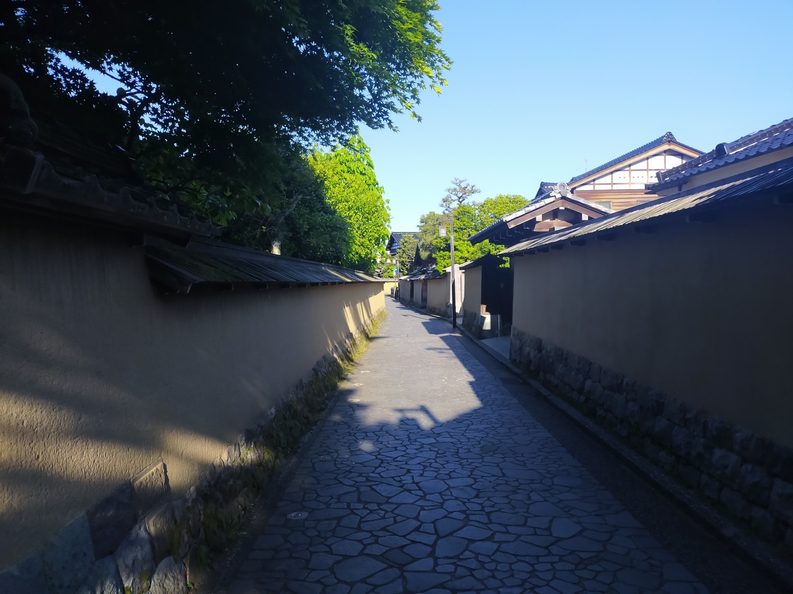 300×226