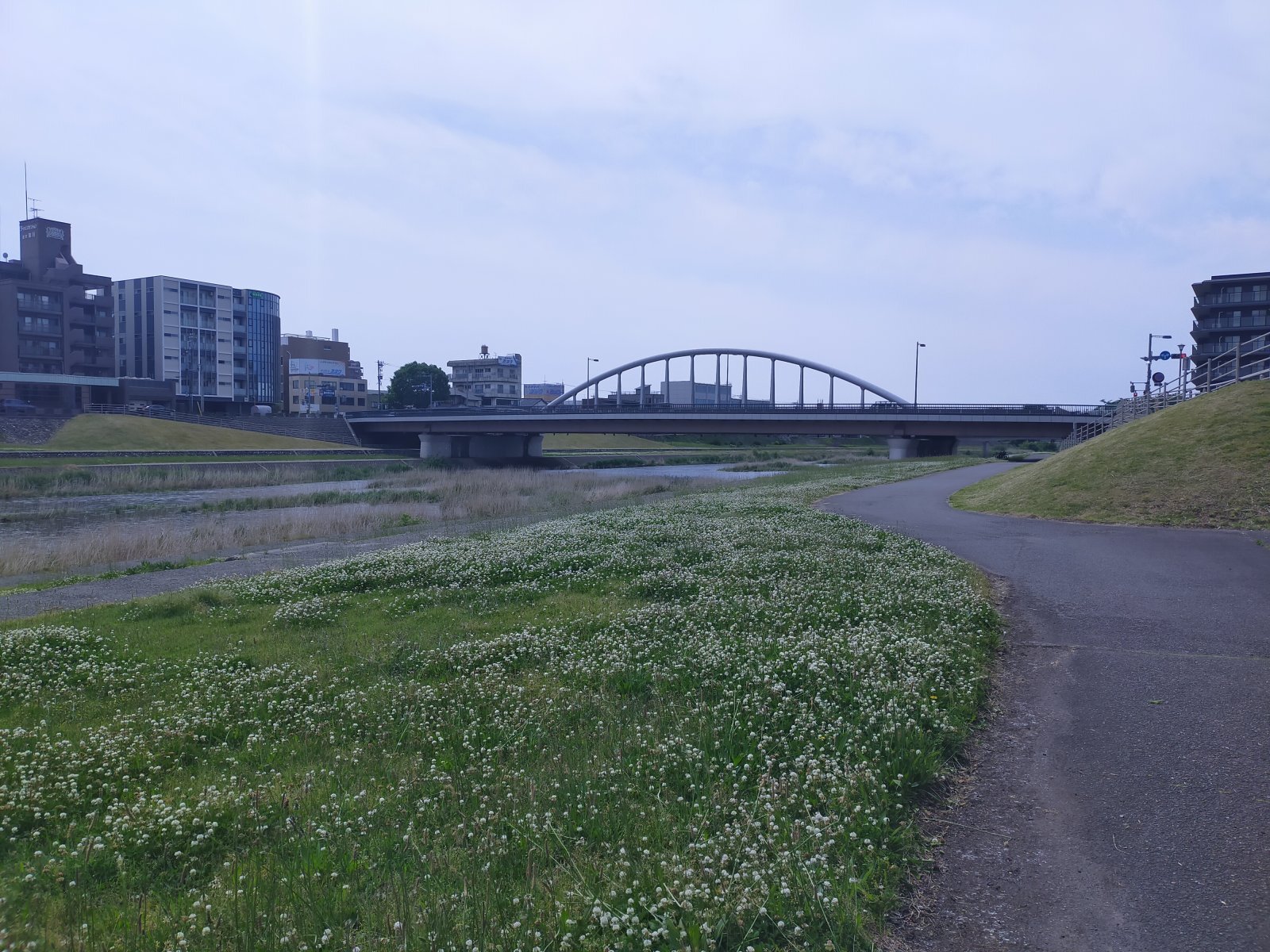 ★2025年5月23日-店主焚屋の作業奮闘記（2025年5月）