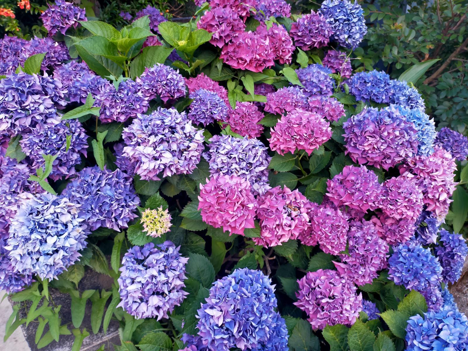 300×226