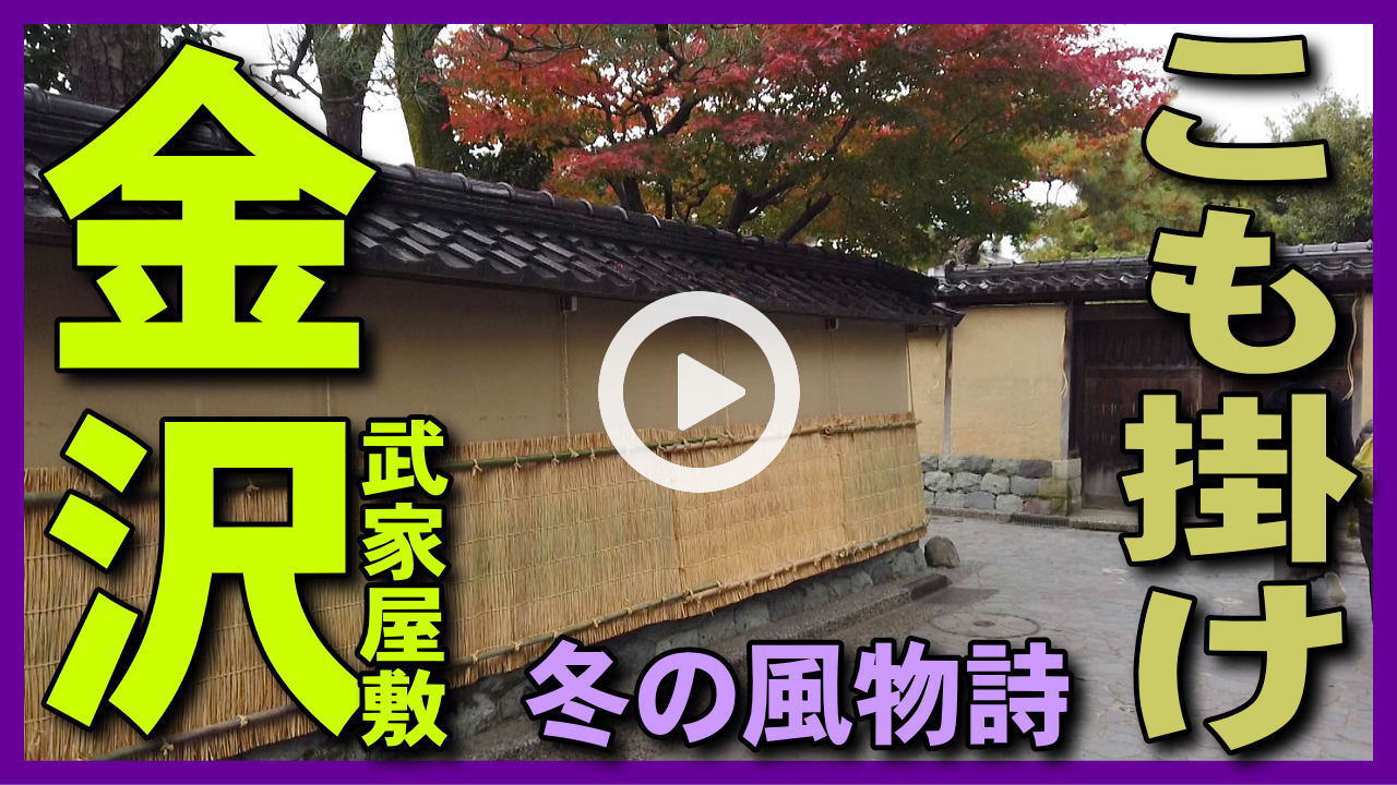 【こも掛け】長町武家屋敷跡の土塀に吊るす「こも掛け」作業。雪吊りと共に金沢の冬の風物詩。